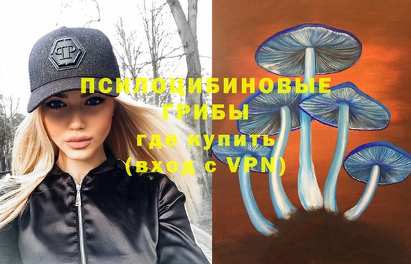 дурь Белокуриха