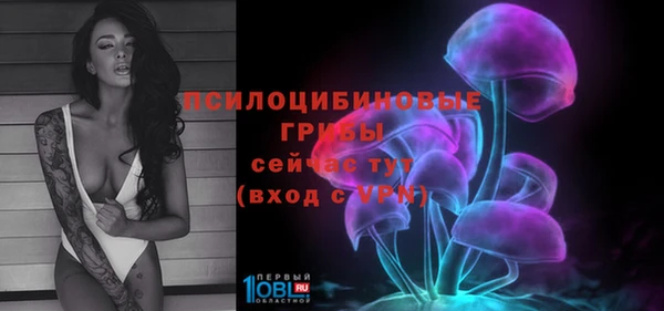дурь Белокуриха