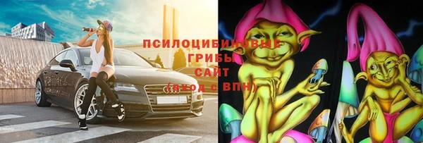 дурь Белокуриха