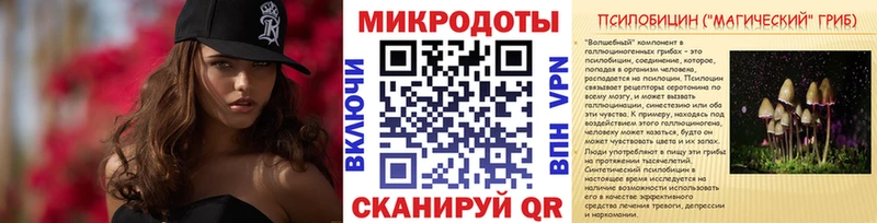 где найти   Мончегорск  Псилоцибиновые грибы прущие грибы 