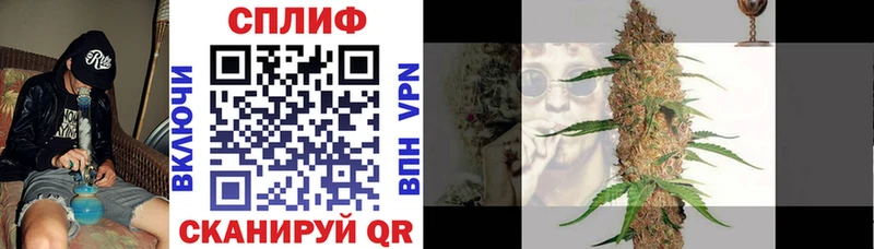 Бошки Шишки SATIVA & INDICA цены Мончегорск